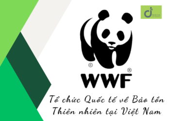 Tổ chức Quốc tế về Bảo tồn Thiên nhiên tại Việt Nam (WWF-Việt Nam)