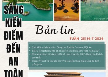 Bản tin Sáng kiến Điểm đến An toàn, Tuần 25 ngày 14-7-2024