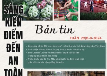 Bản tin Sáng kiến Điểm đến An toàn, Tuần 29 ngày 11-8-2024