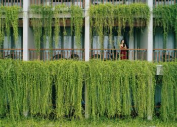 Khách sạn ‘không rác thải nhựa’ ở Hội An đạt chứng nhận du lịch bền vững