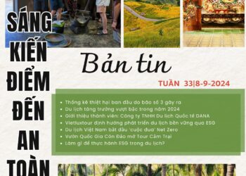 Bản tin Sáng kiến Điểm đến An toàn, Tuần 33 ngày 8-9-2024