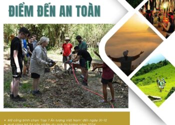 Bản tin Sáng kiến Điểm đến An toàn, Tuần 44 ngày 24-11-2024