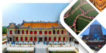 Bản tin Sáng kiến Điểm đến An toàn, Tuần 47 ngày 15-12-2024