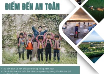 Bản tin Sáng kiến Điểm đến An toàn, Tuần 48 ngày 22-12-2024