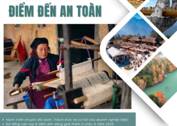 Bản tin Sáng kiến Điểm đến An toàn, Tuần 49 ngày 29-12-2024