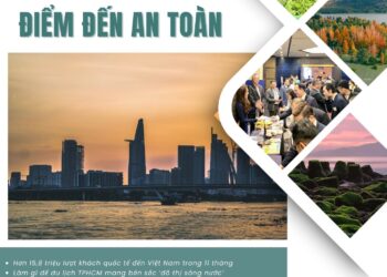 Bản tin Sáng kiến Điểm đến An toàn, Tuần 46 ngày 8-12-2024