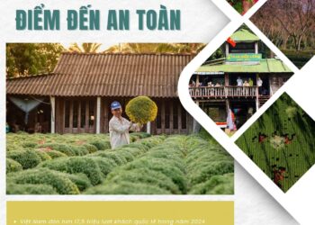 Bản tin Sáng kiến Điểm đến An toàn, Tuần 2 ngày 12-1-2025