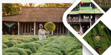 Bản tin Sáng kiến Điểm đến An toàn, Tuần 2 ngày 12-1-2025