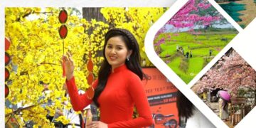 Bản tin Sáng kiến Điểm đến An toàn, Tuần 4 ngày 26-1-2025