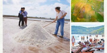 Bản tin Sáng kiến Điểm đến An toàn, Tuần 11 ngày 15-3-2025