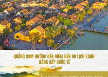 Bản tin Sáng kiến Điểm đến An toàn, Tuần 22 ngày 31-5-2025