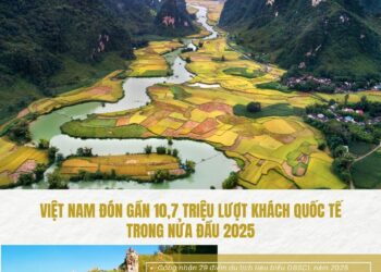 Bản tin Sáng kiến Điểm đến An toàn, Tuần 28 ngày 12-7-2025