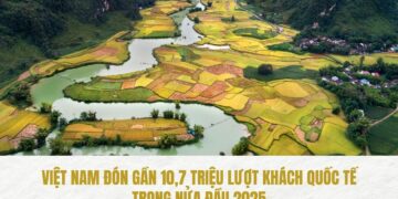 Bản tin Sáng kiến Điểm đến An toàn, Tuần 28 ngày 12-7-2025